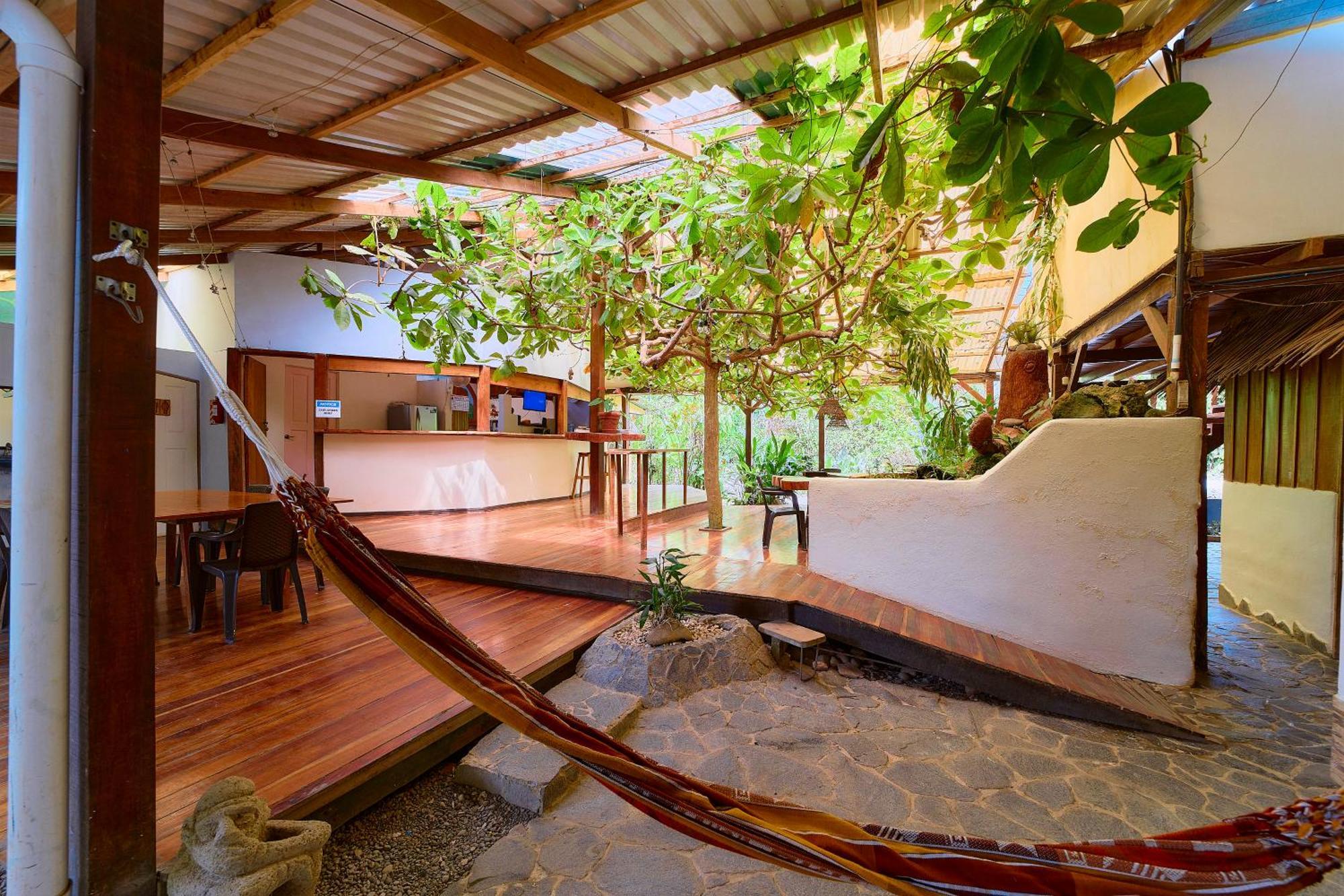 Cabinas Montesol Puerto Viejo de Talamanca Luaran gambar